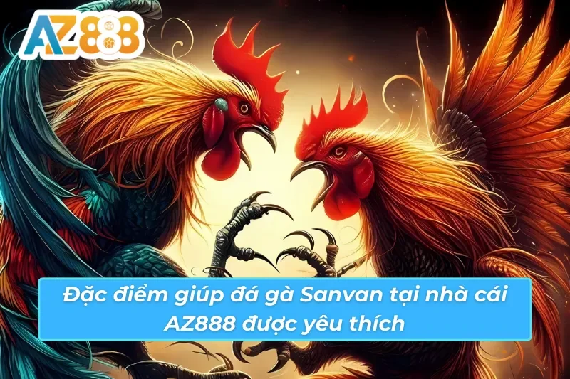 Kèo cược đá gà Savan AZ888 — Meron, Wala, BDD, cựa sắt, cựa dao