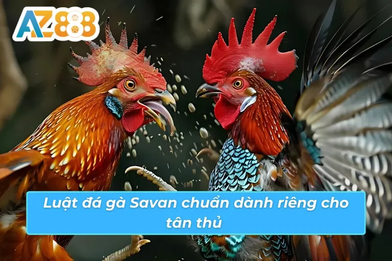 Cách xem trực tiếp đá gà Savan AZ888 và đặt cược online