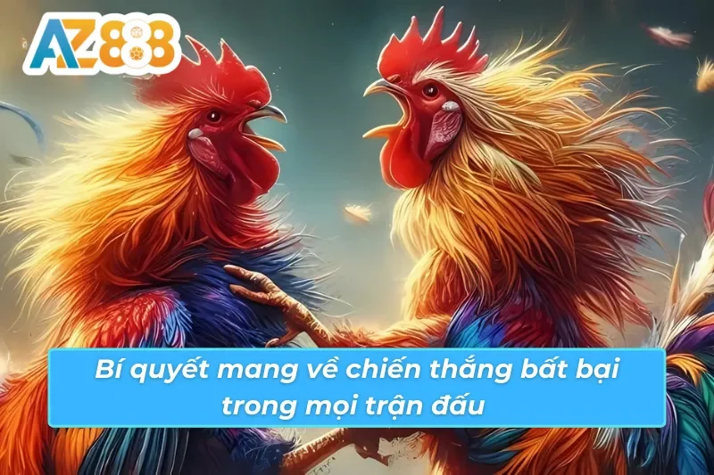 Kinh nghiệm đặt cược đá gà Savan AZ888 — soi cầu và quản lý vốn