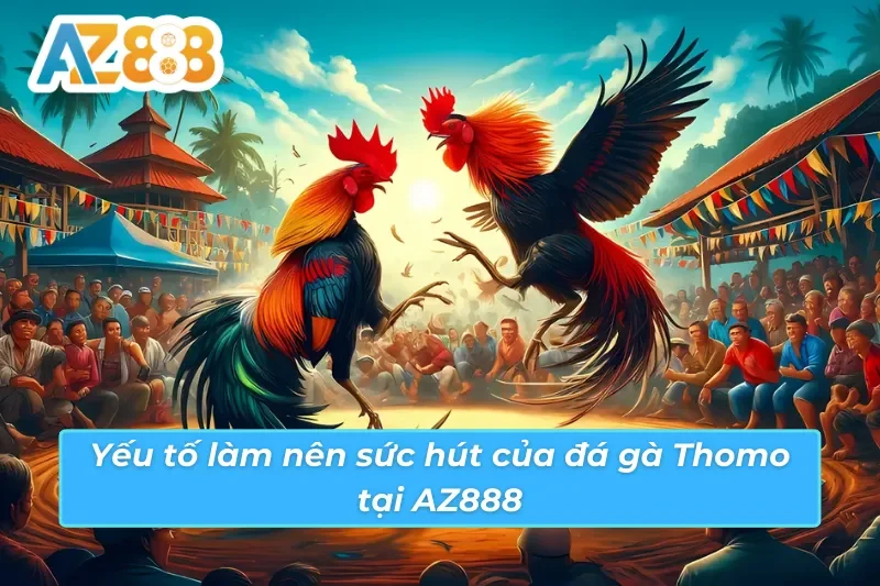Mẹo chơi đá gà Thomo AZ888 kinh nghiệm